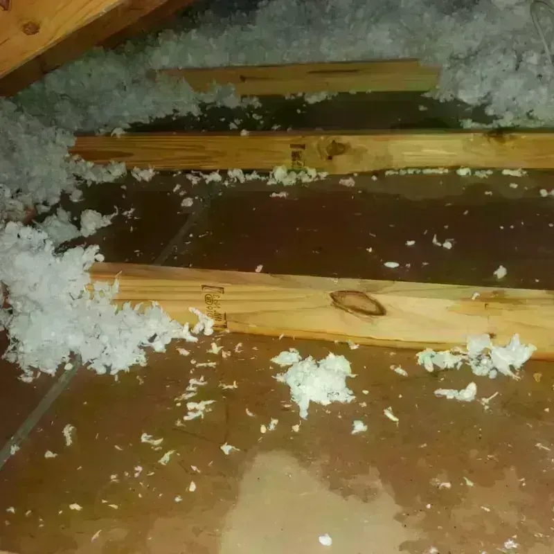 Attic Water Damage in Mecklenburg County, VA